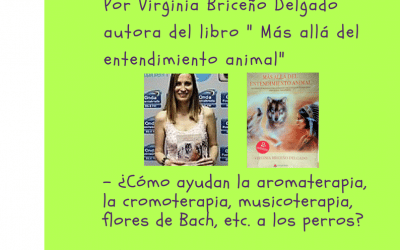 Terapias naturales para perros