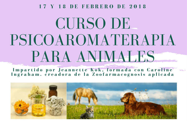 Curso de psicoaromaterapia para animales