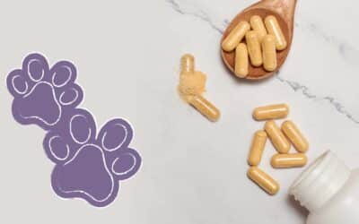 Probióticos para perros y gatos