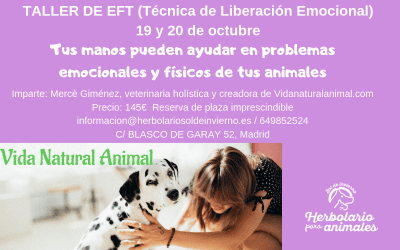 Curso EFT para animales