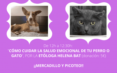 Jornada solidaria con perros y gatos en Kendra Life