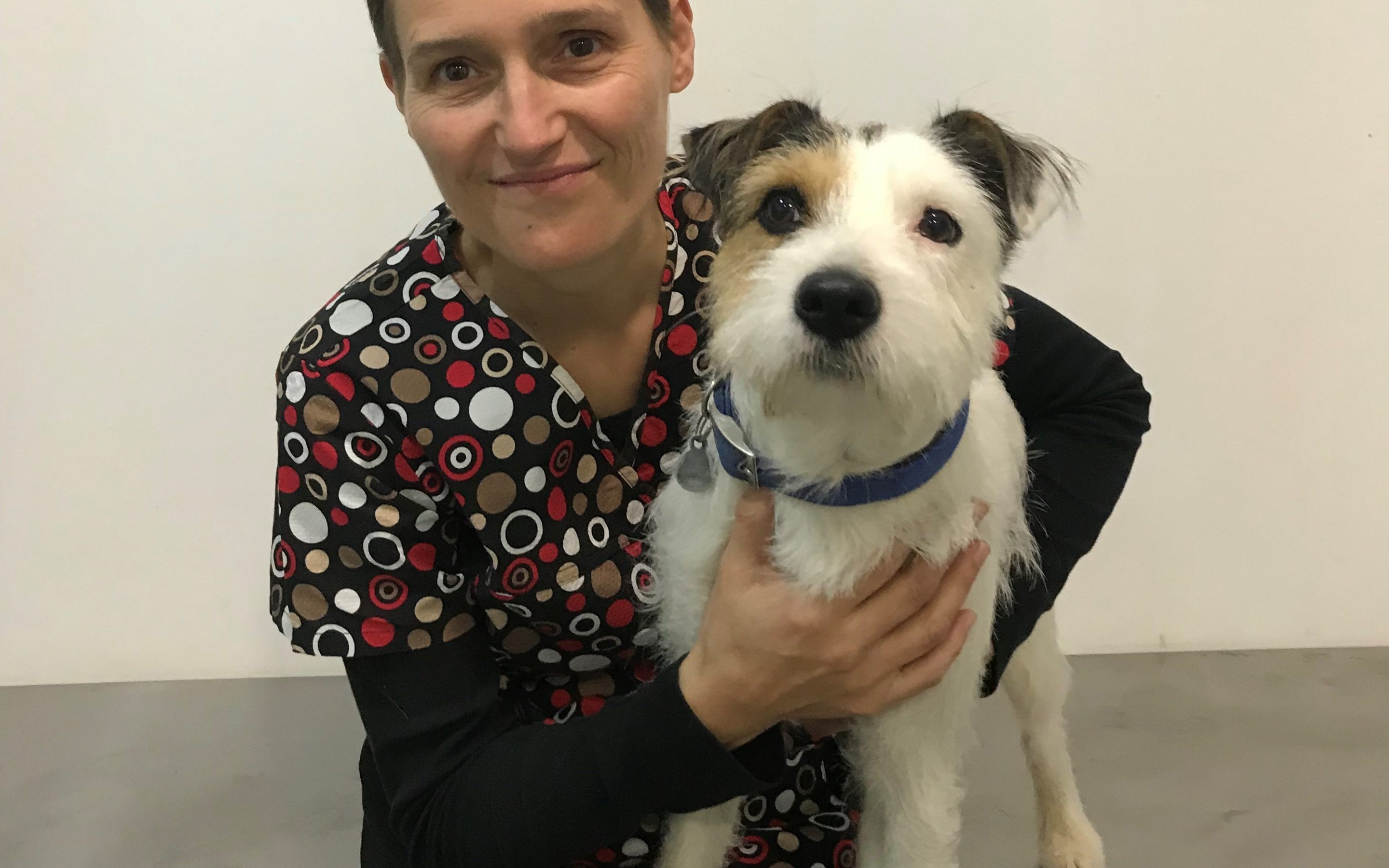 «Los hongos medicinales son fantásticos, sobre todo por su acción sobre el sistema inmunológico», Gemma Hervás, veterinaria integrativa