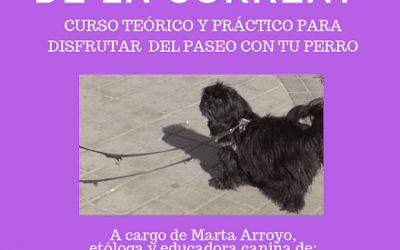 Taller teórico y práctico: “¿Tu perro tira de la correa?”