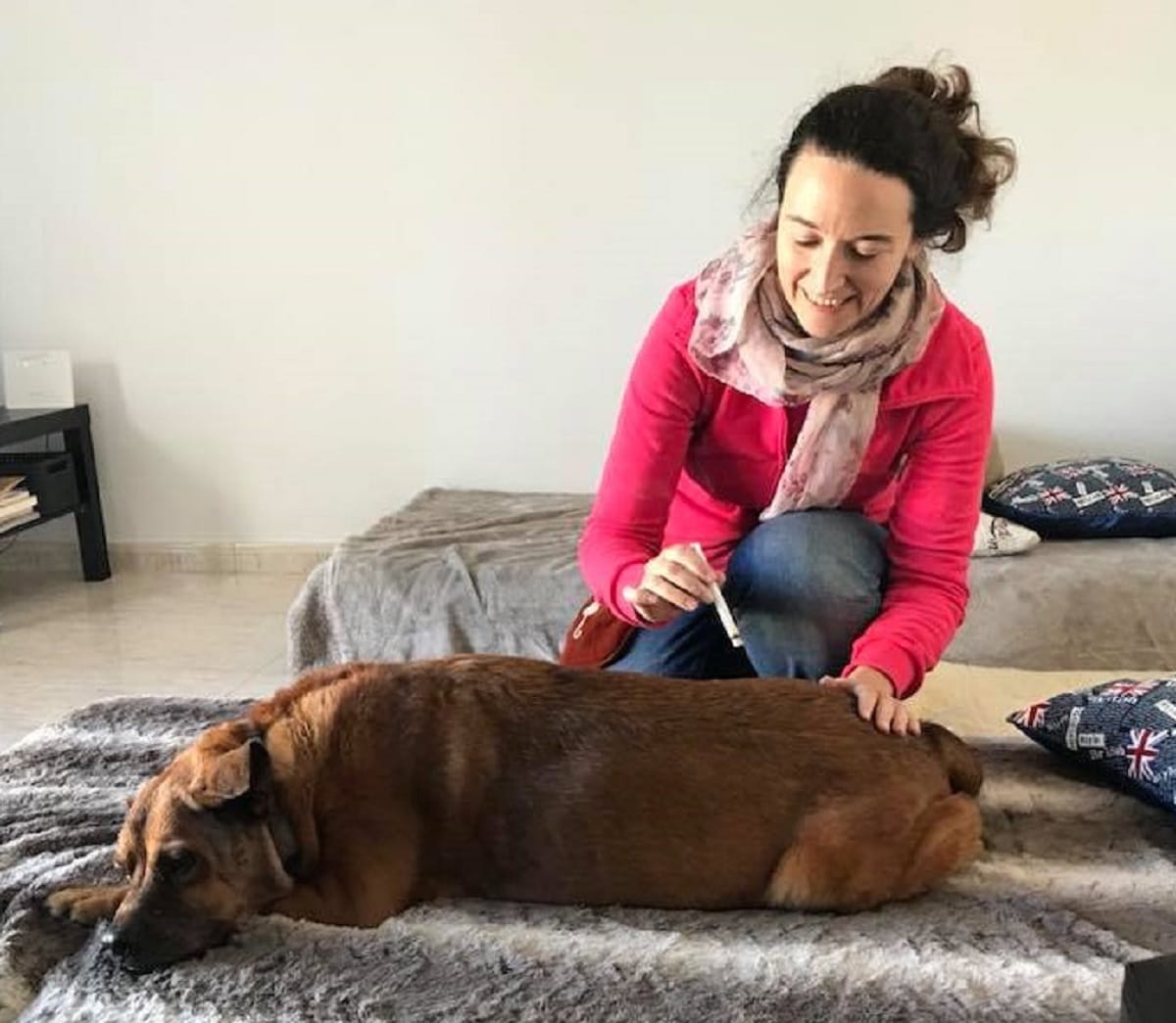 “El amigo animal con quien vivimos no es un humano pequeño”, Mercè Giménez, fundadora de Vida Natural Animal