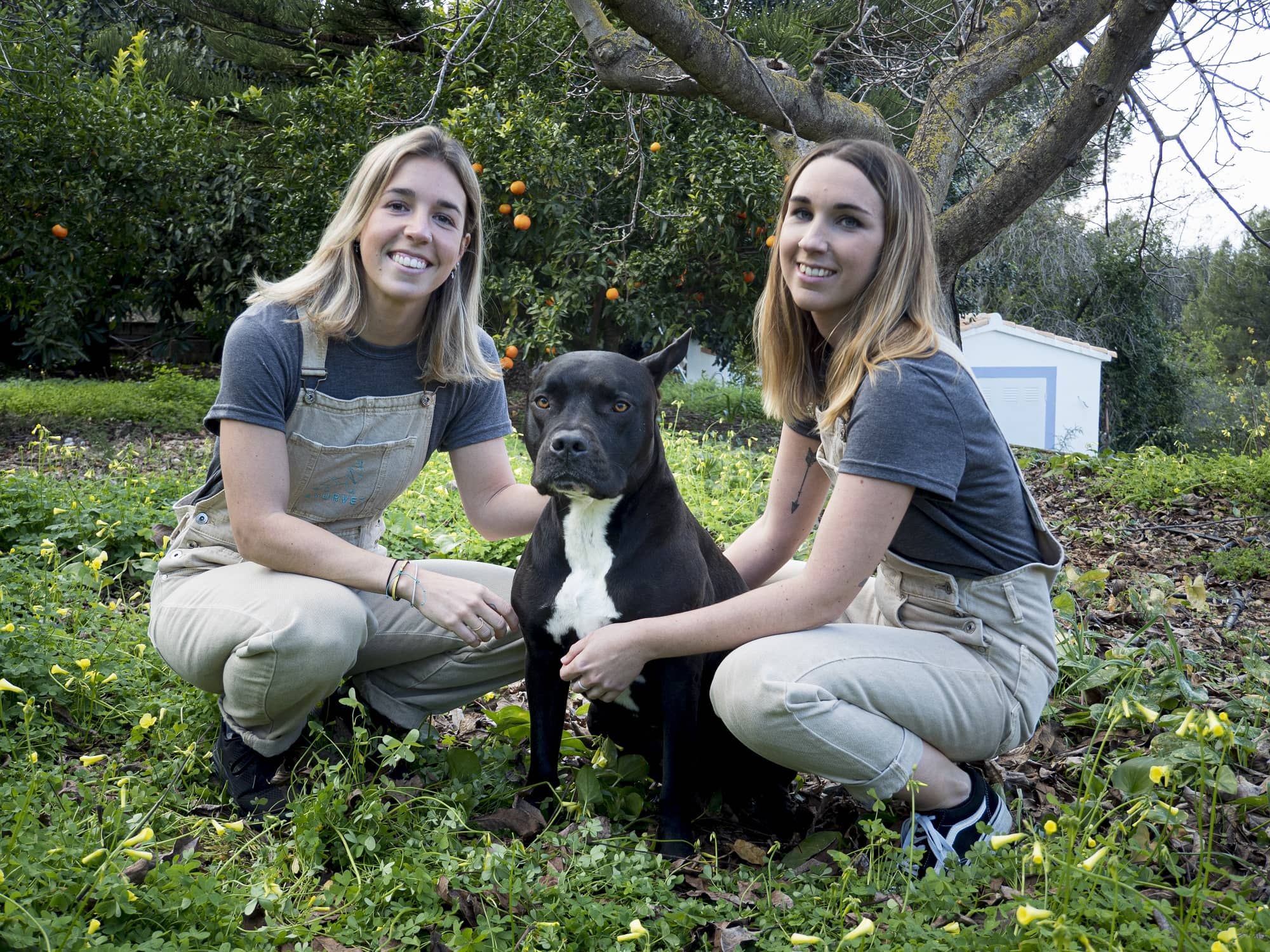 Adriana Menéndez y Marina Santos, veterinarias integrativas que unieron caminos tras la pandemia para crear Ayurvet