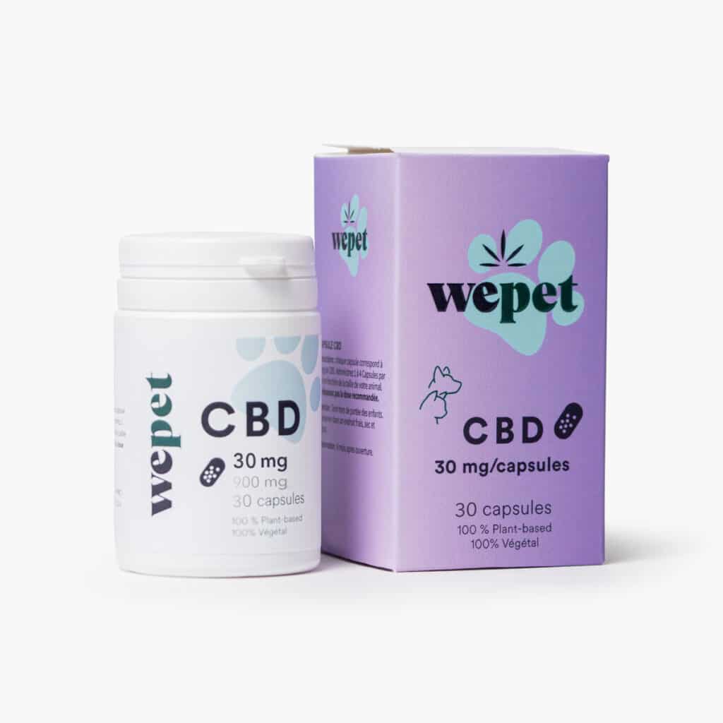 Aceite de CBD para perros grandes de la más alta calidad. Ayuda con la ansiedad, problemas dermatológicos, infecciones, dolor crónico...