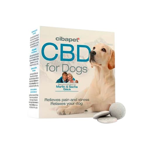 cbd-pastillas-perros