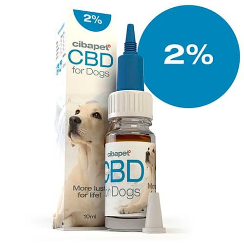 cbd-perros-2-porciento