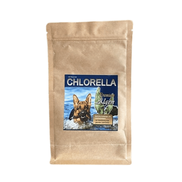 Chlorella en polvo para perros