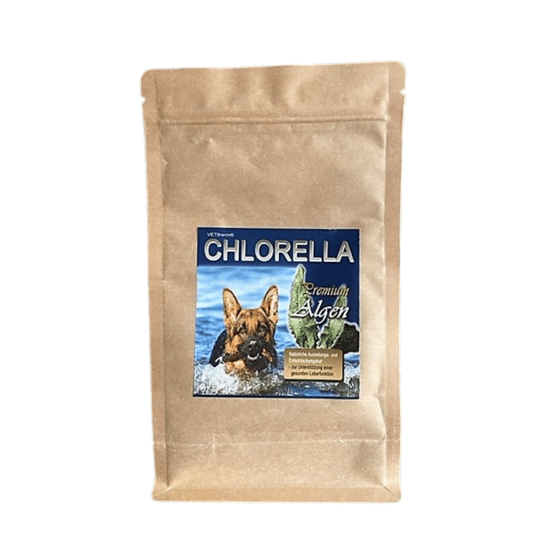 Chlorella powder for dogs