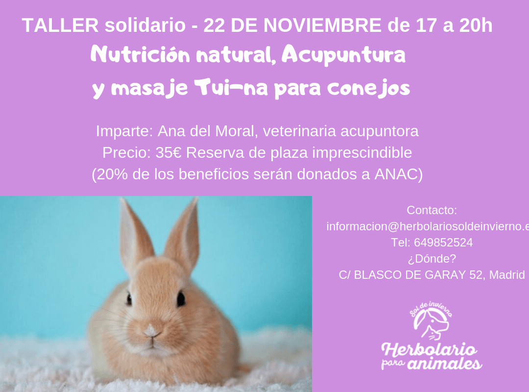Taller solidario de conejos