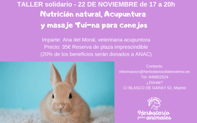 Taller solidario de conejos