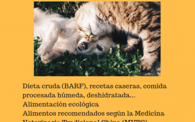 Taller de dieta natural para perros y gatos