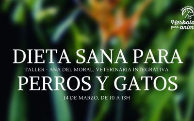 Taller de dieta natural para perros y gatos