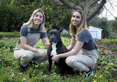 Adriana Menéndez y Marina Santos, veterinarias integrativas que unieron caminos tras la pandemia para crear Ayurvet