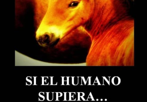 si-el-humano-supiera-libro