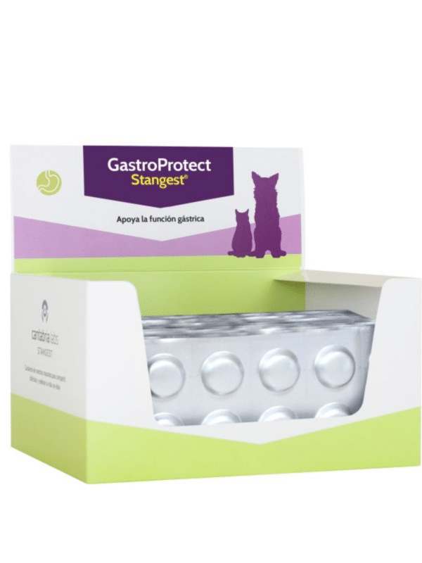 Gastroprotect de Stangest ayuda en gastritis, úlceras o duodenitis, alivia el dolor y disminuye la inflamación intestinal en perros y gatos.