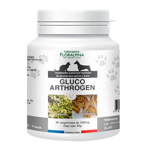 gluco-arthrogen
