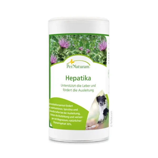 hepatika-detox-250g