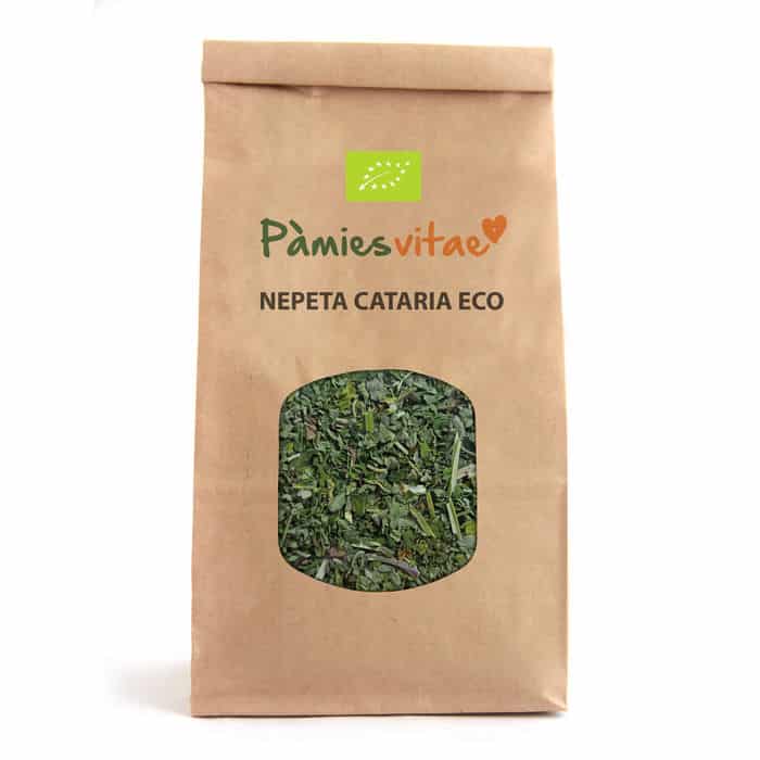 La menta gatera, hierba gatera o catnip estimula varias partes del cerebro del gato, produciéndole una sensación de placer y relajación.
