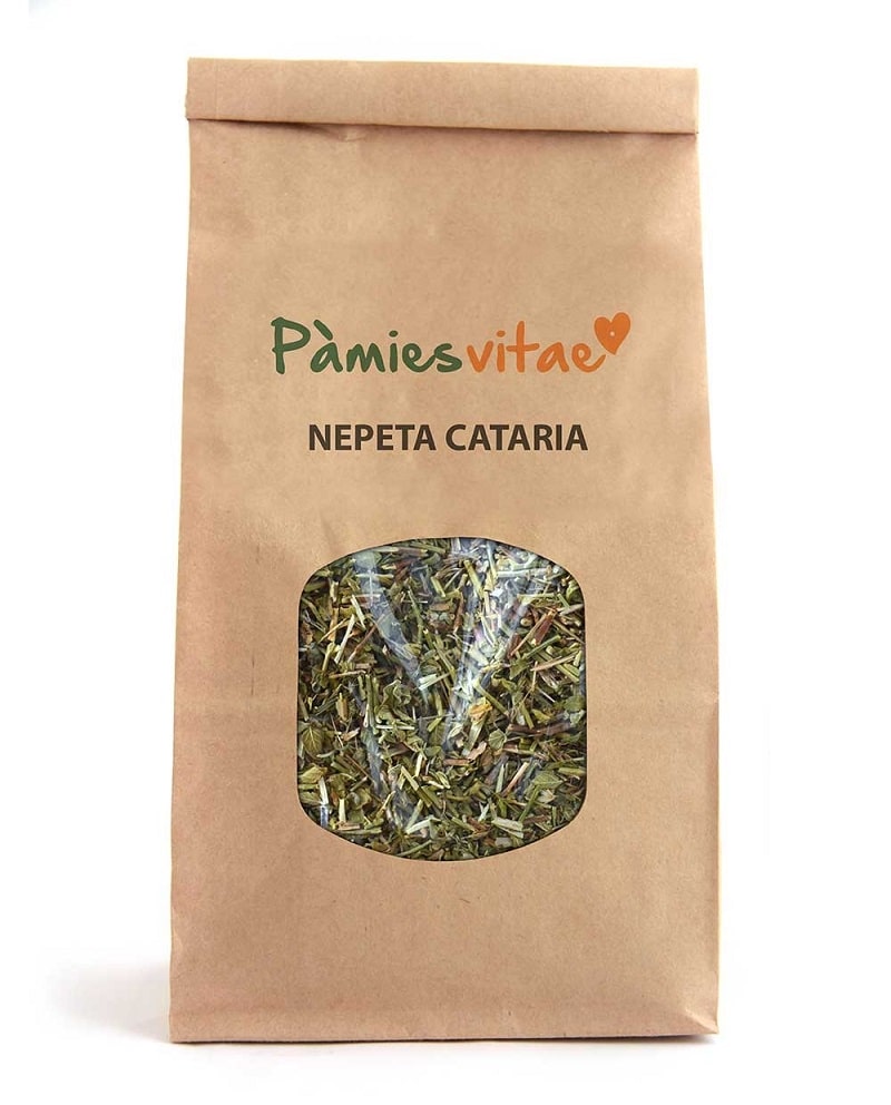 Hierba gatera o catnip en planta seca - Herbolario para animales Sol de ...