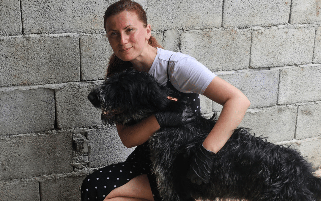 “Necesitamos mucha ayuda, sobre todo voluntarios y veterinarios, para esterilizar y mejorar las condiciones de vida de los perros y gatos callejeros en Albania”, Oli Pero, fundadora de Animals Need Me