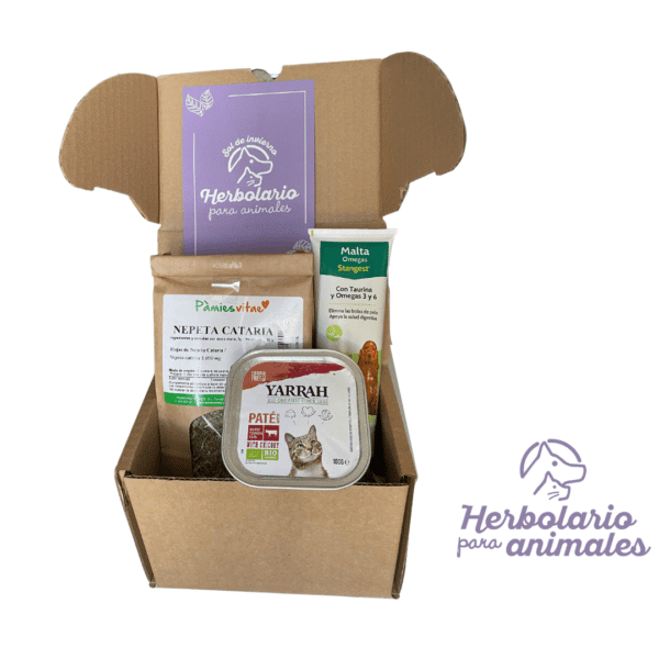 Pack regalo de productos naturales para gatos: hierba gatera, malta con Omega 6 y gratis, 1 tarrina de comida húmeda bio.