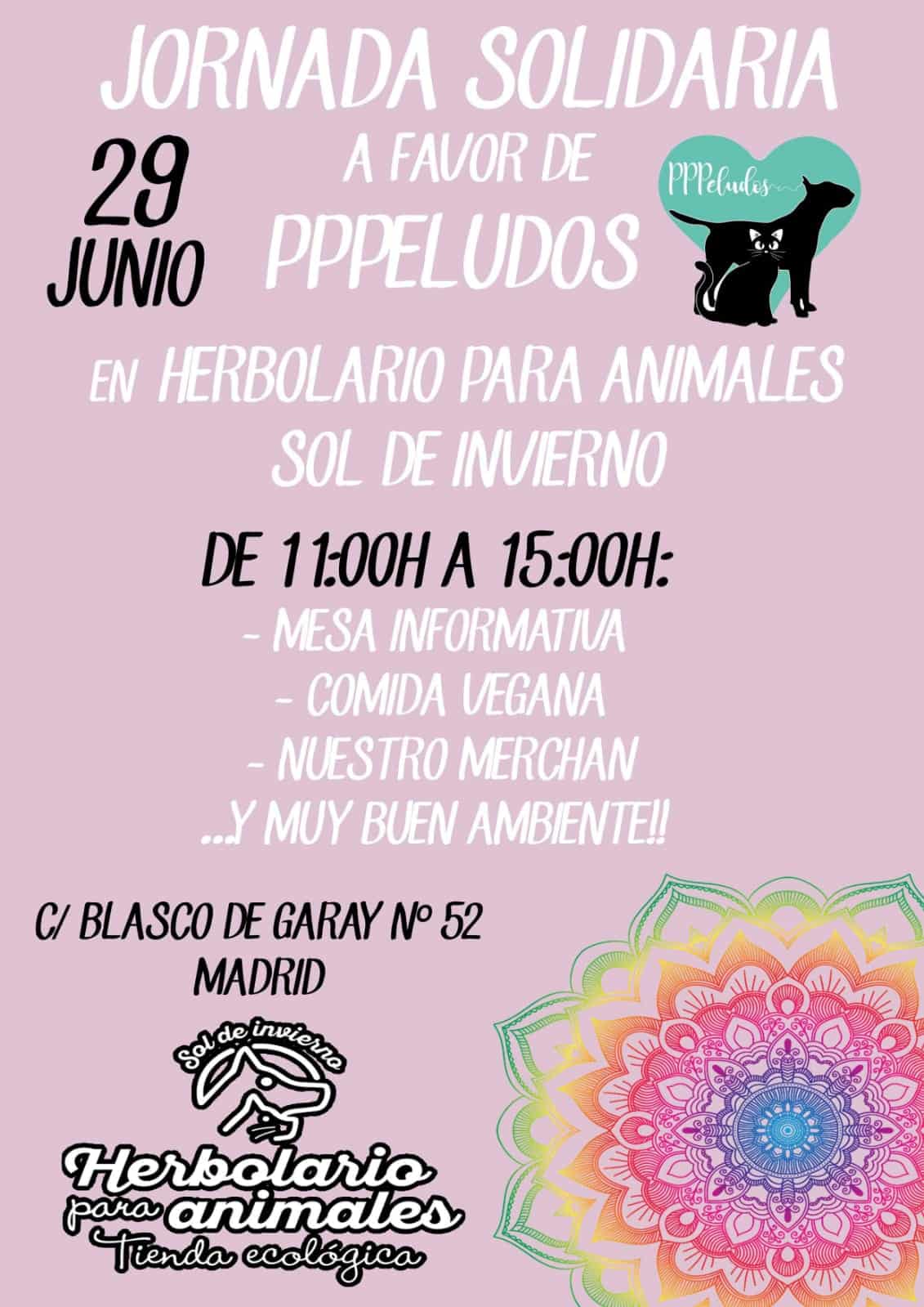 Jornada solidaria a favor de PPPeludos