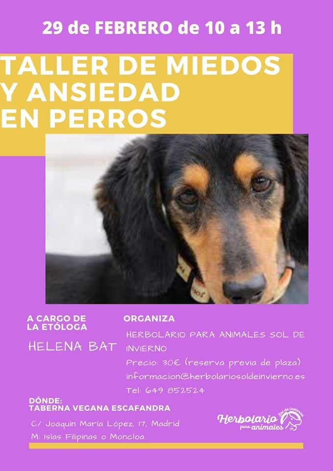 Taller de miedos en perros